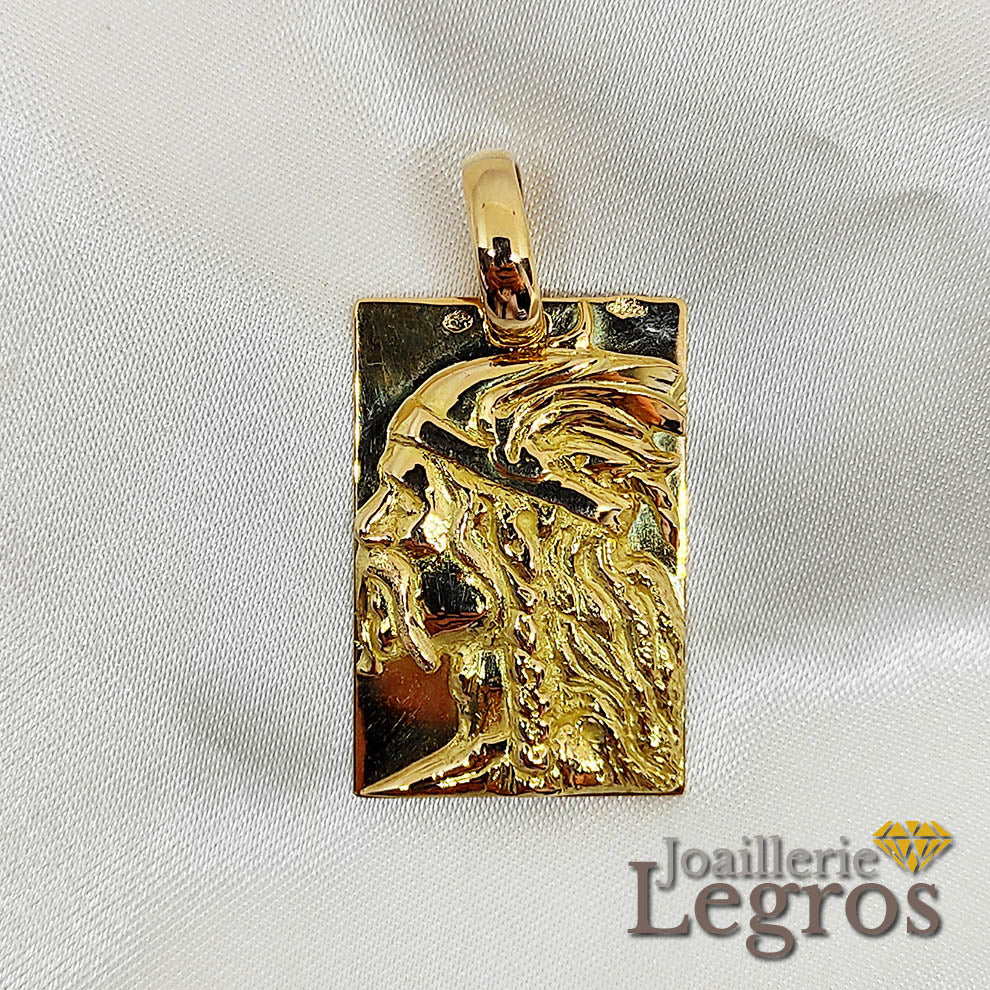 Bijou Médaille Vercingetorix rectangulaire Gaulois en or 18 carats OU argent 925 joaillerie legros bijouterie
